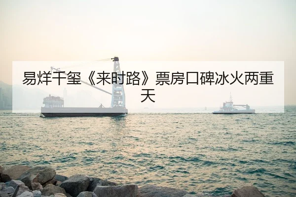 易烊千玺《来时路》票房口碑冰火两重天